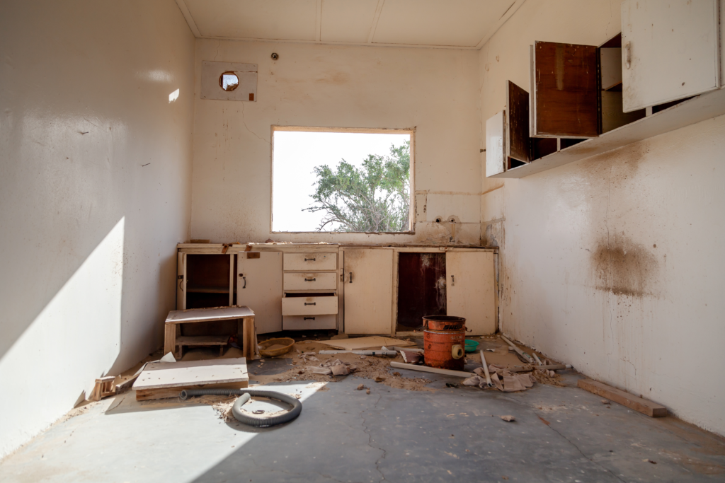 Kitchen Demolition